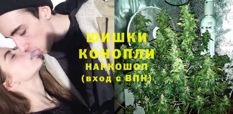 где купить наркотик  Ковылкино  Канабис LSD WEED 